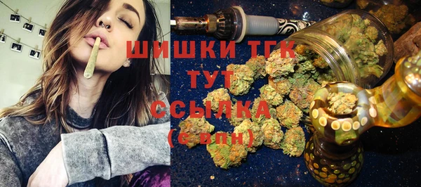 гидра Аркадак
