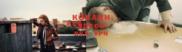 гидра Аркадак