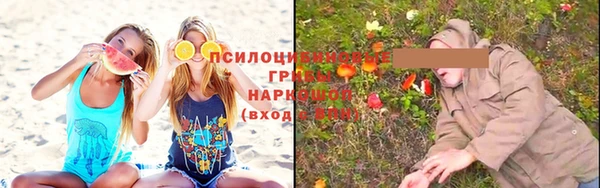 ешки Фурманов